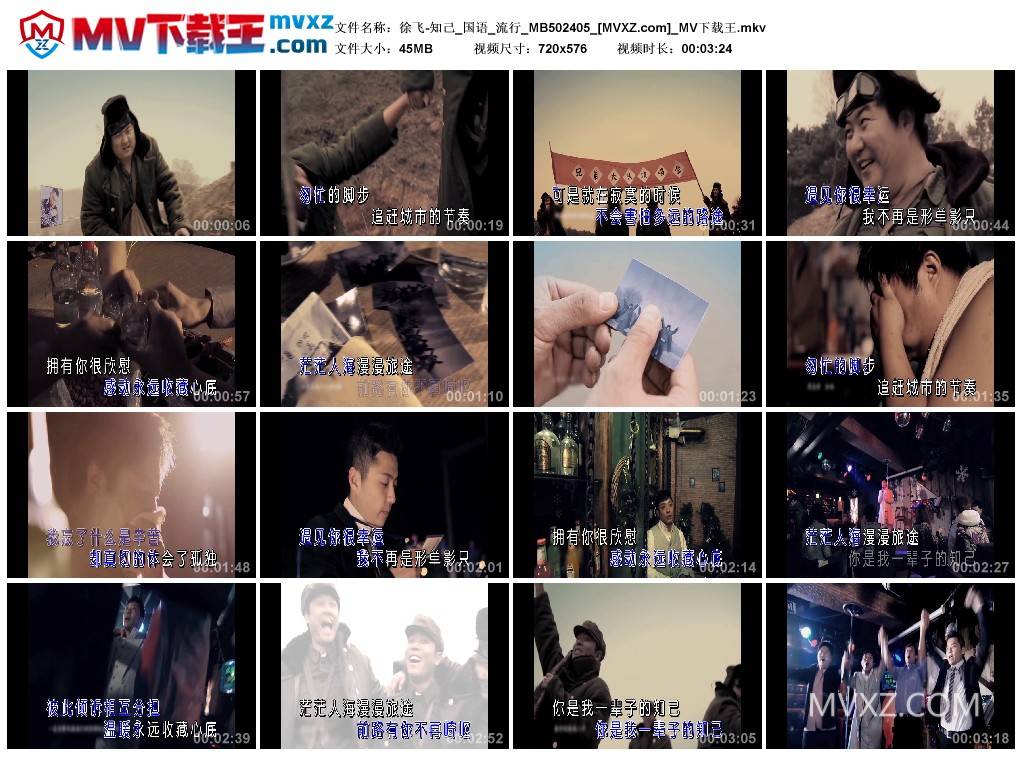 徐飞-知己_国语_流行_MB502405